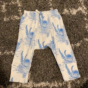 Kate quinn blue protea panda pants
